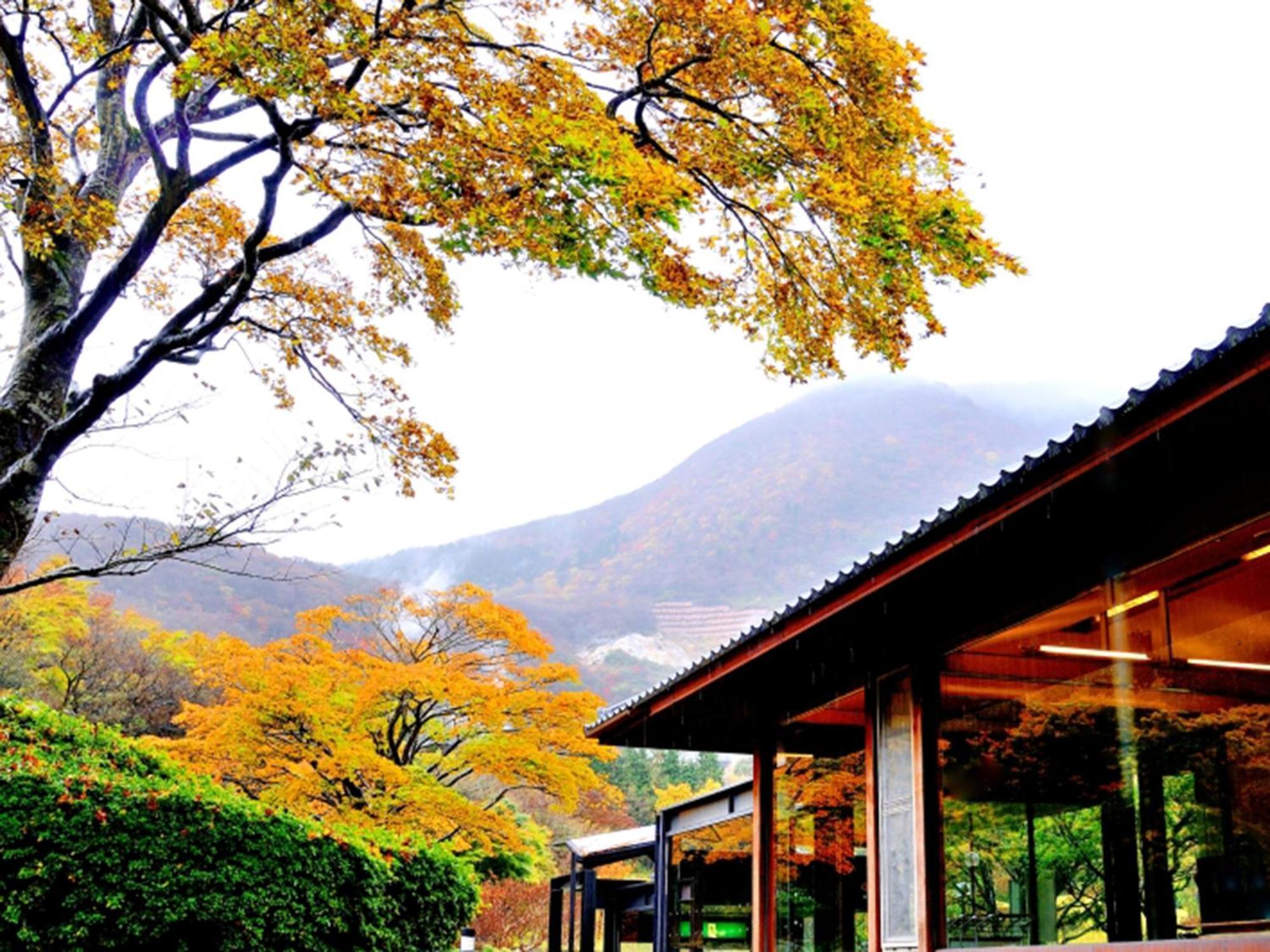 Hakone Yunohana Prince Hotel Kanagawa Exterior photo